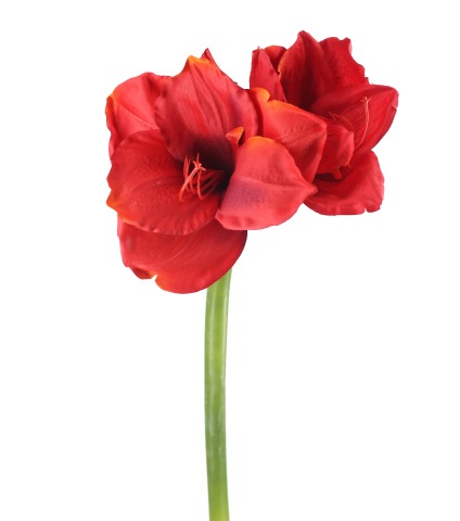 Fleur d'amaryllis artificielle