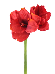 Fleur d'amaryllis artificielle