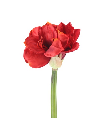 Fleur d'amaryllis artificielle