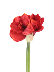 Fleur d'amaryllis artificielle