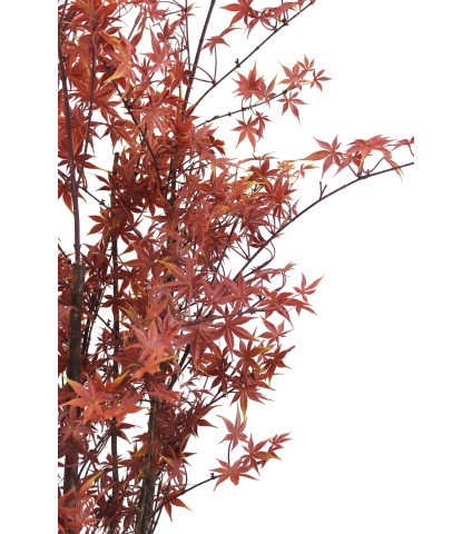 Érable du Japon artificiel