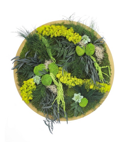 Grand tableau végétal Ouistreham