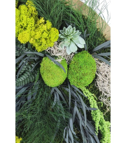 Grand tableau végétal Ouistreham