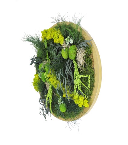 Grand tableau végétal Ouistreham