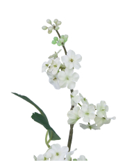 Viburnum artificiel blanc