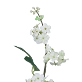 Viburnum artificiel blanc