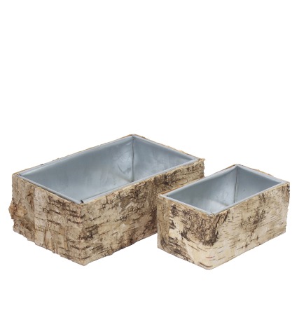 Mini jardinière écorce de bouleau