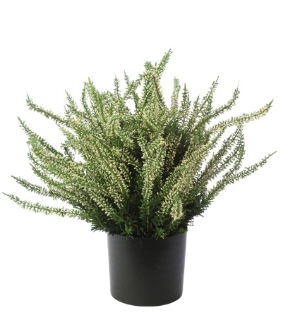 Bruyère blanche artificielle