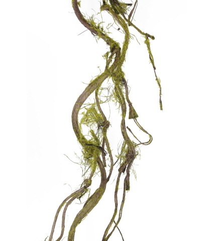 Branche artificielle avec mousse