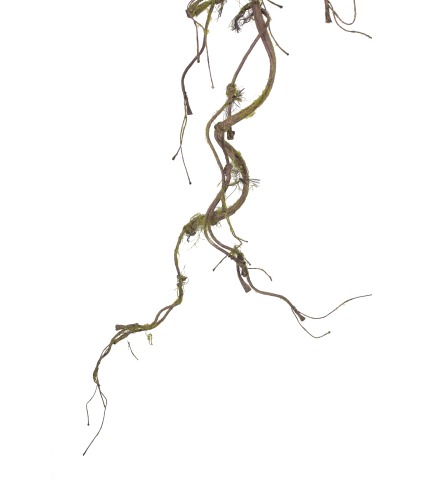 Branche artificielle avec mousse