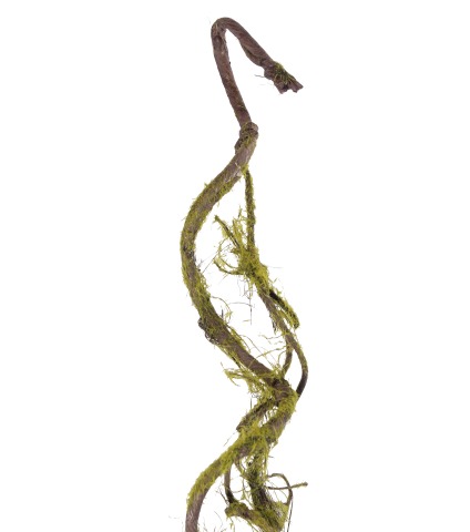 Branche artificielle avec mousse