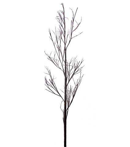 Branche artificielle tortuosa géante