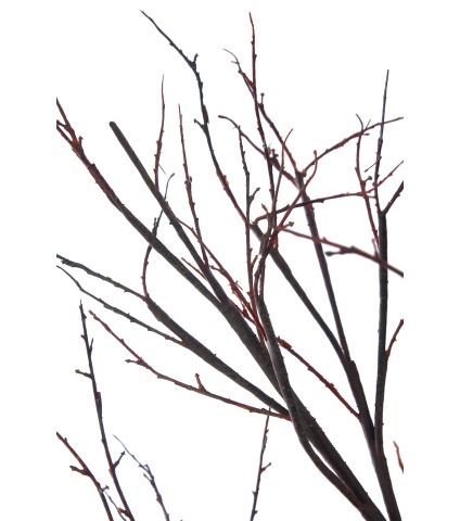 Branche artificielle tortuosa géante