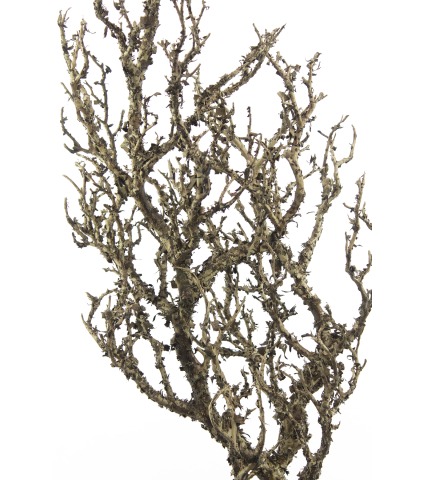 Grande branche tortueuse artificielle