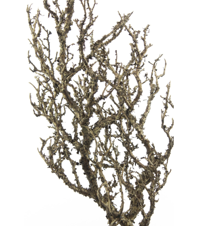 Grande branche tortueuse artificielle