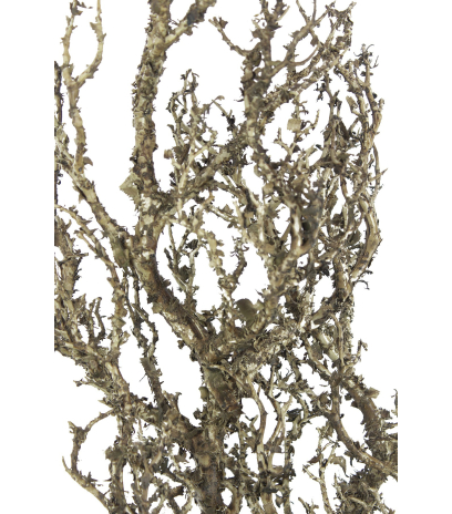 Grande branche tortueuse artificielle
