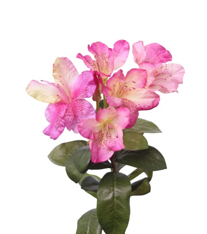 Tige de rhododendron artificielle rose