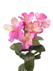 Tige de rhododendron artificielle rose