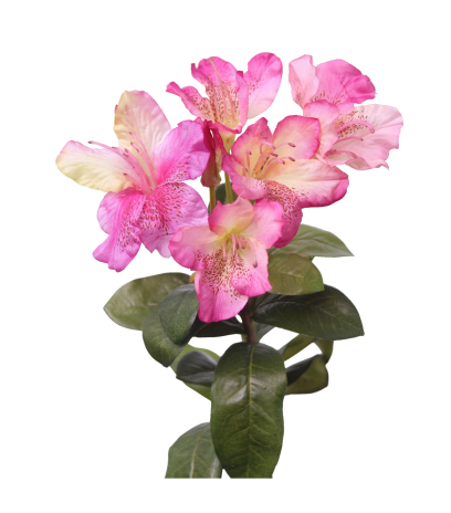 Tige de rhododendron artificielle rose