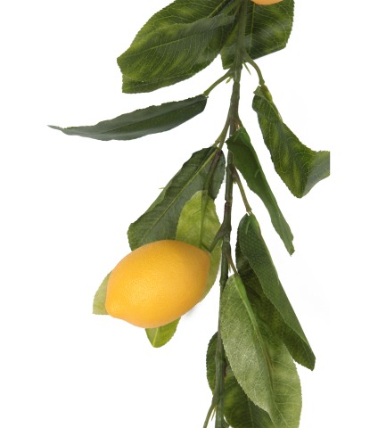 Guirlande de citrons artificielle