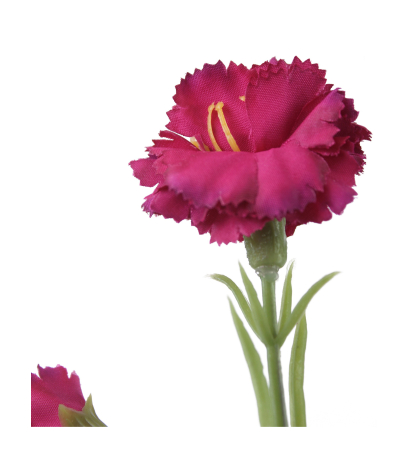 Œillet rouge artificiel