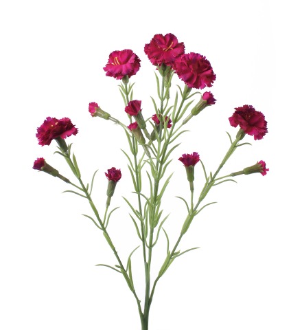 Œillet rouge artificiel