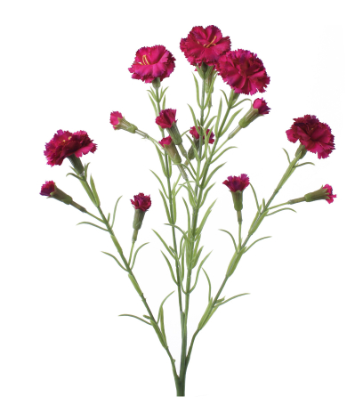 Œillet rouge artificiel