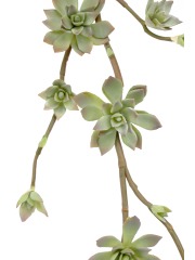 Branche de succulente artificielle