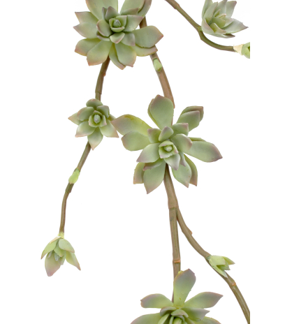 Branche de succulente artificielle