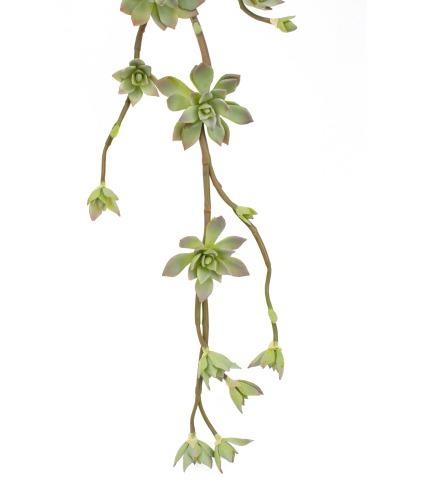 Branche de succulente artificielle