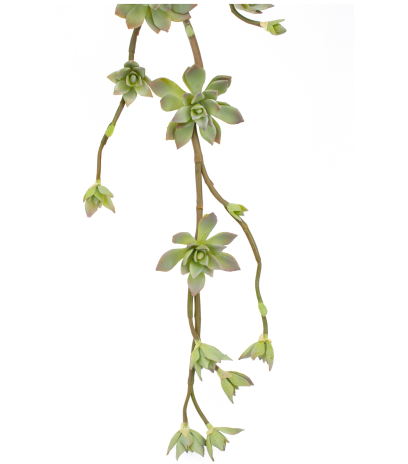 Branche de succulente artificielle