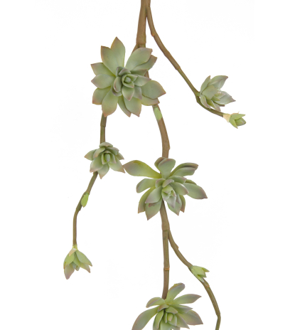 Branche de succulente artificielle