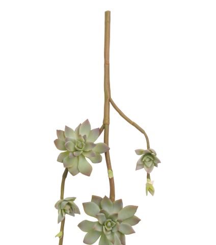 Branche de succulente artificielle
