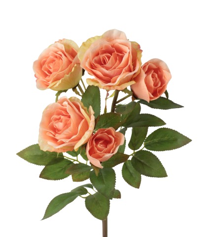 Branchette de roses Colibri