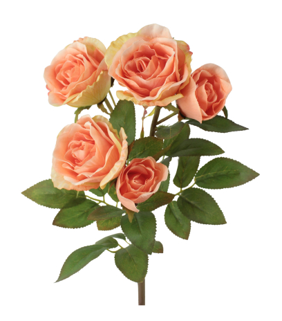 Branchette de roses Colibri