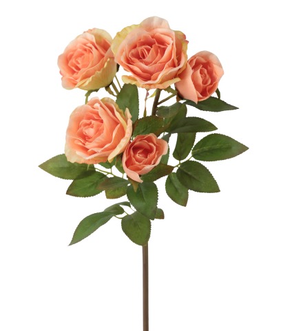 Branchette de roses Colibri