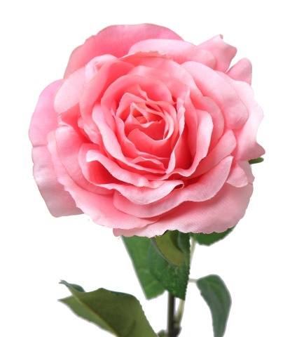 Rose artificielle Victoria