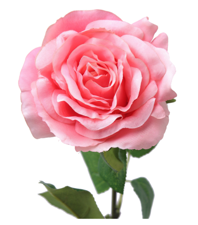 Rose artificielle Victoria