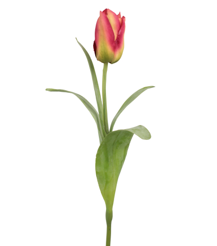 Tulipe Happy artificielle