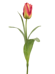 Tulipe Happy artificielle