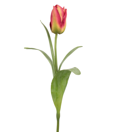 Tulipe Happy artificielle