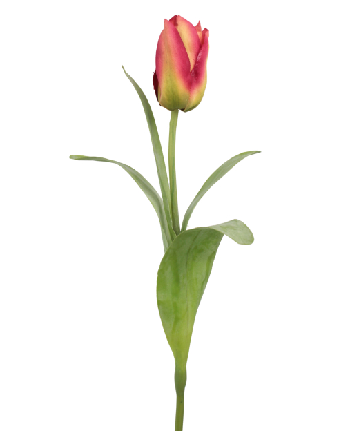 Tulipe Happy artificielle