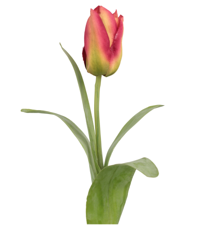 Tulipe Happy artificielle