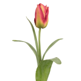 Tulipe Happy artificielle