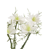 Tige de cosmos blanc artificiel