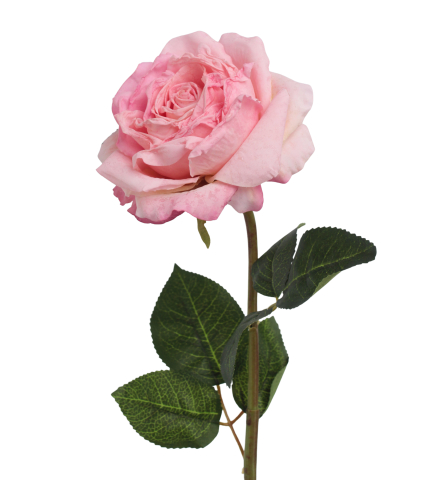 Rose artificielle Chantilly