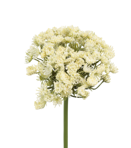 Grand daucus artificiel blanc