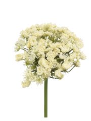 Grand daucus artificiel blanc