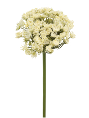 Grand daucus artificiel blanc