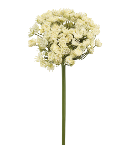 Grand daucus artificiel blanc